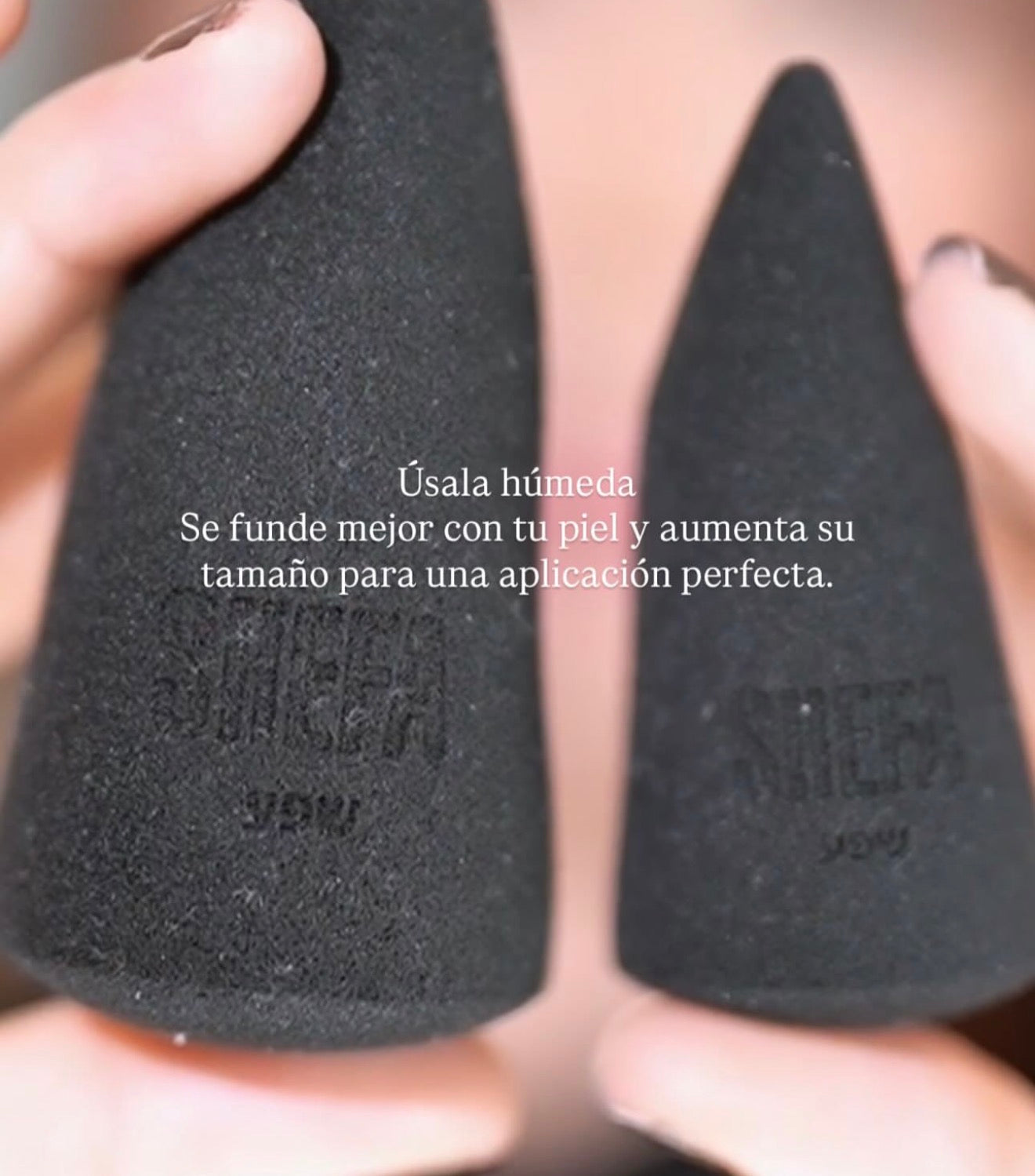 SHEFA BEAUTY SPONGE